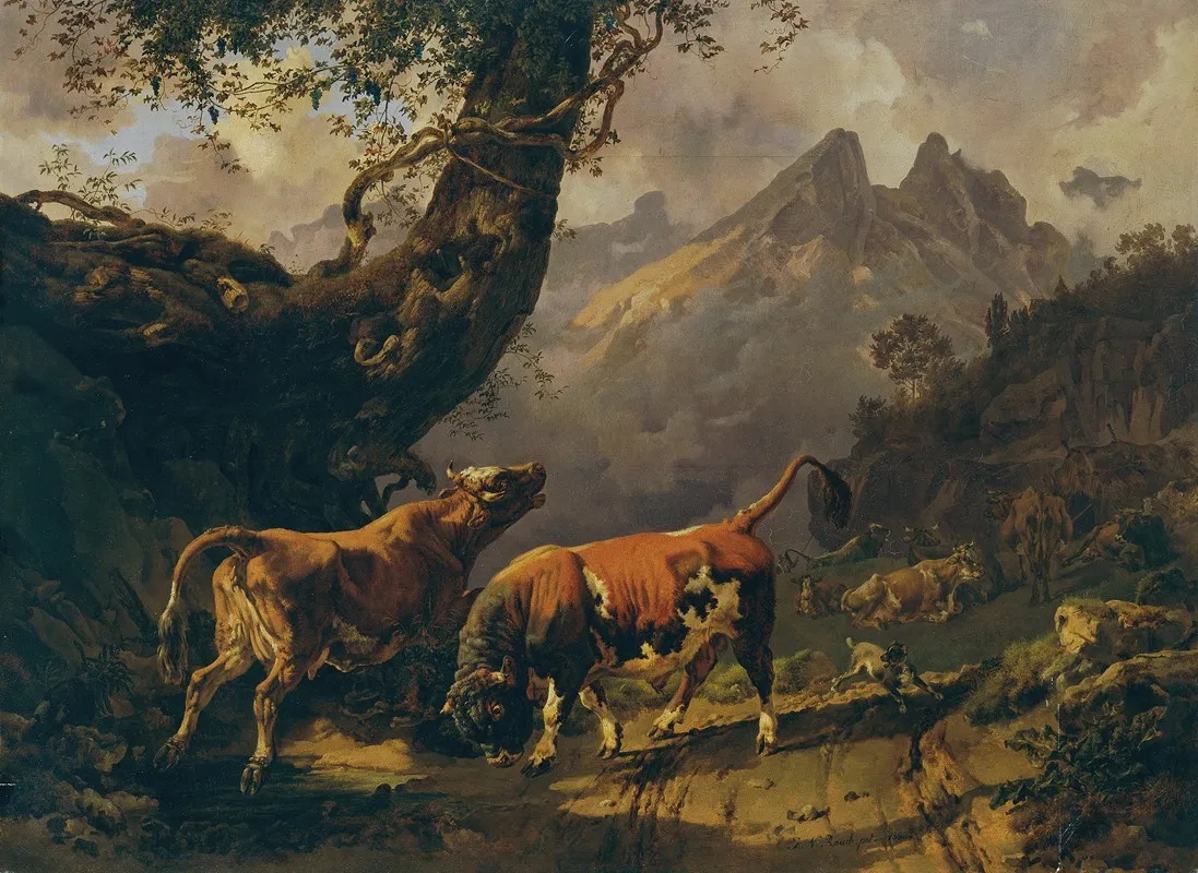 Stier Eine Kuh Verfolgend Im Hintergrund Landschaft Bei Carrara