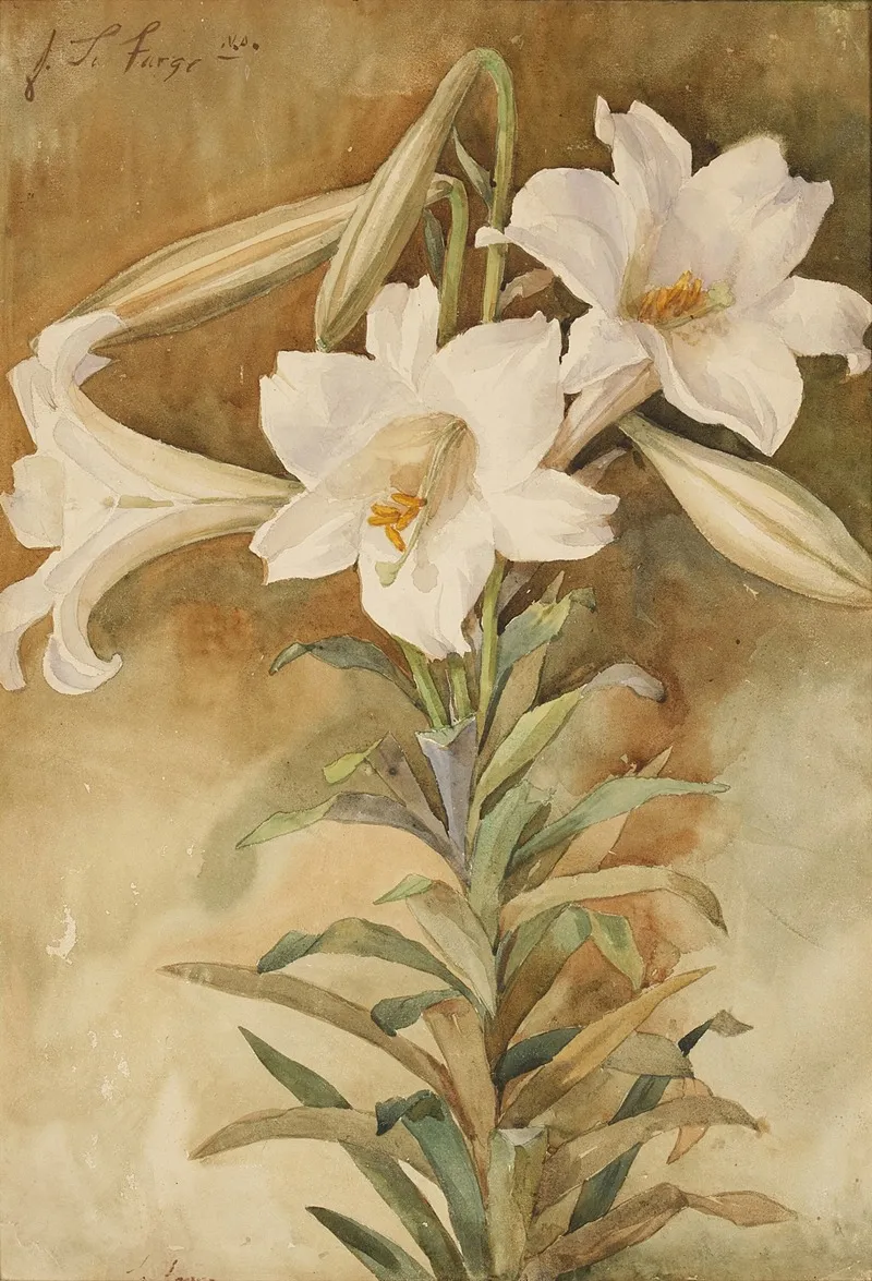Still Life Of Easter Lilies Wall Art by John La Farge - High-Resolution Digital Print