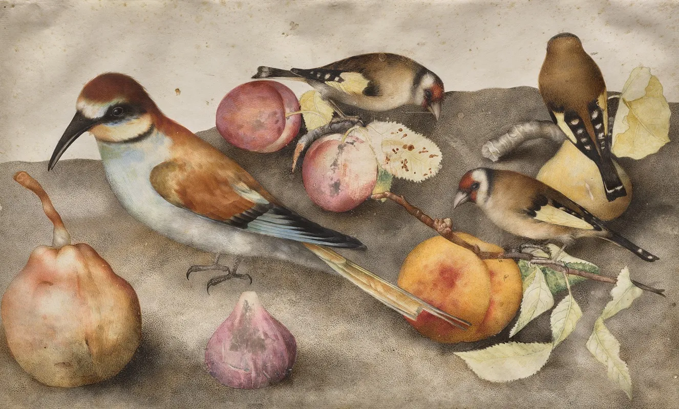 Still Life With Birds And Fruit Wall Art by Giovanna Garzoni - High-Resolution Digital Print