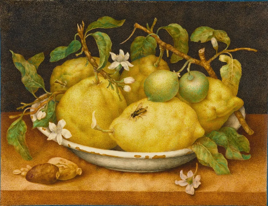 Still Life With Bowl Of Citrons Wall Art by Giovanna Garzoni - High-Resolution Digital Print