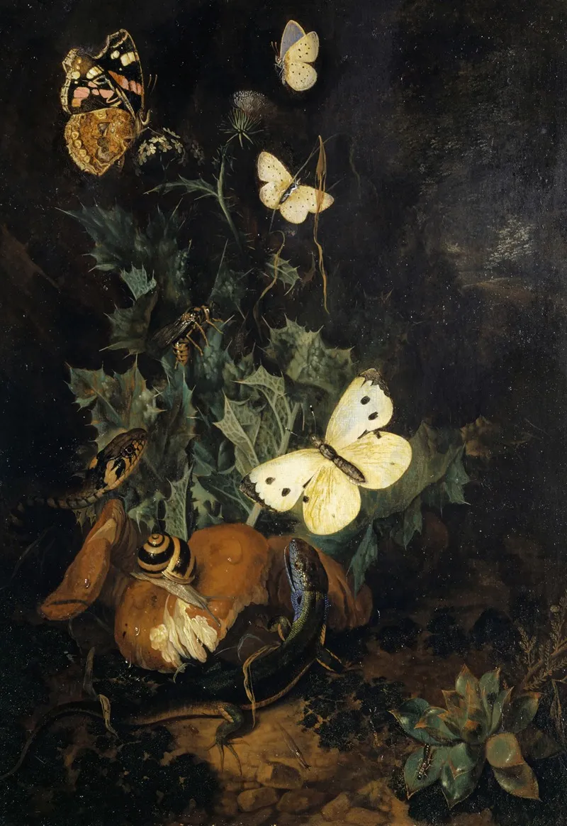 Still Life With Butterflies Lizard And Snake 2 Wall Art by Carl Wilhelm De Hamilton - High-Resolution Digital Print