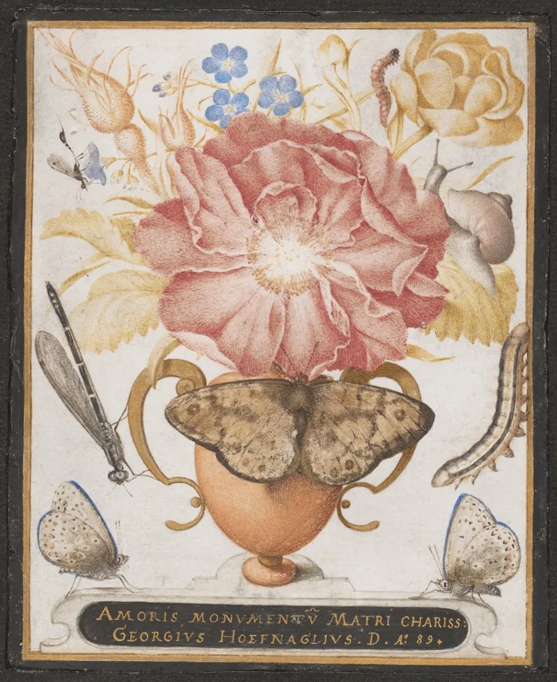 Still Life With Flowers A Snail And Insects