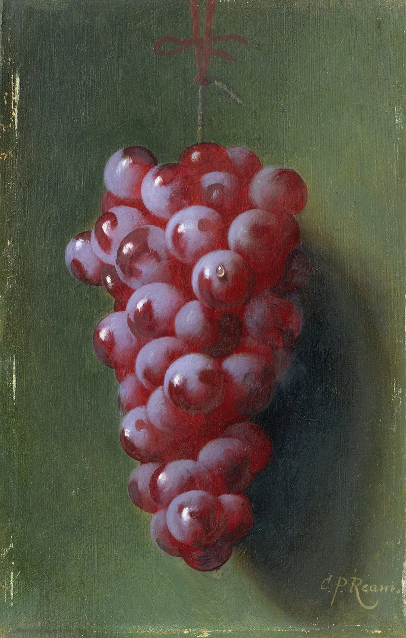 Still Life With Grapes Wall Art by Carducius Plantagenet Ream - High-Resolution Digital Print