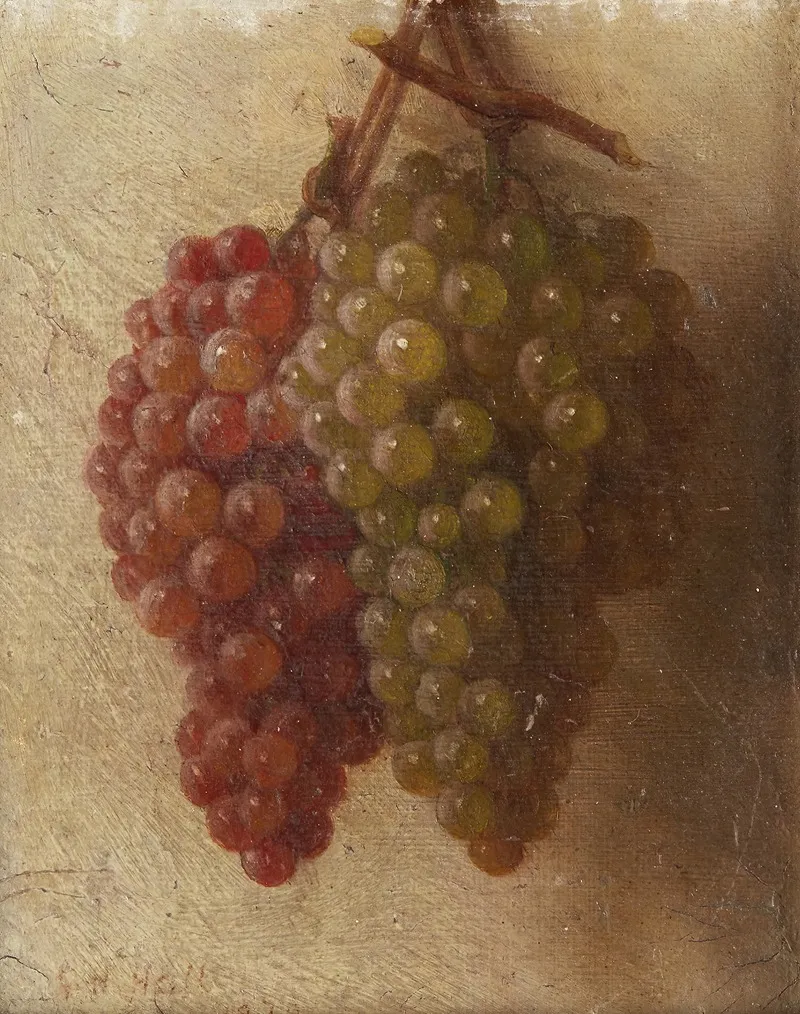 Still Life With Hanging Grapes