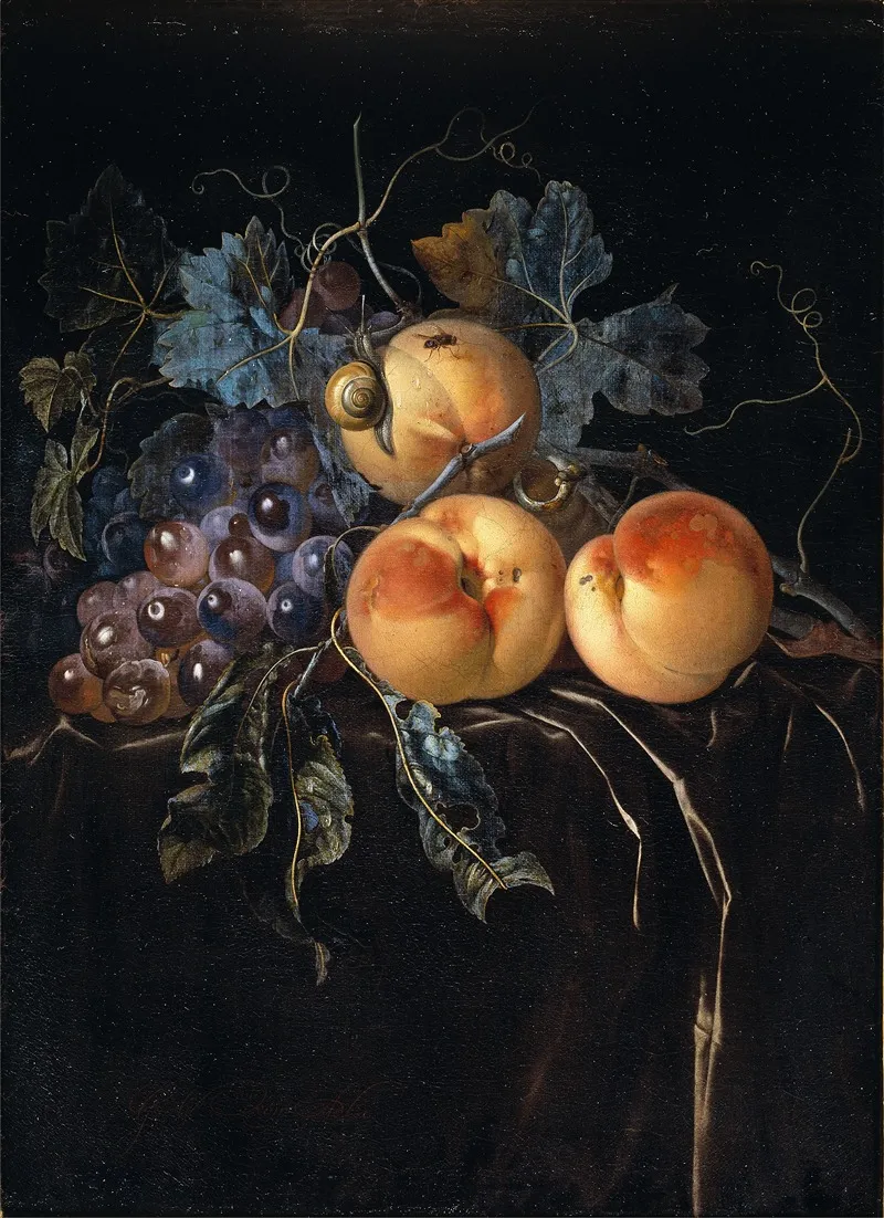 Still Life With Peaches And Grapes Wall Art by Willem van Aelst - High-Resolution Digital Print