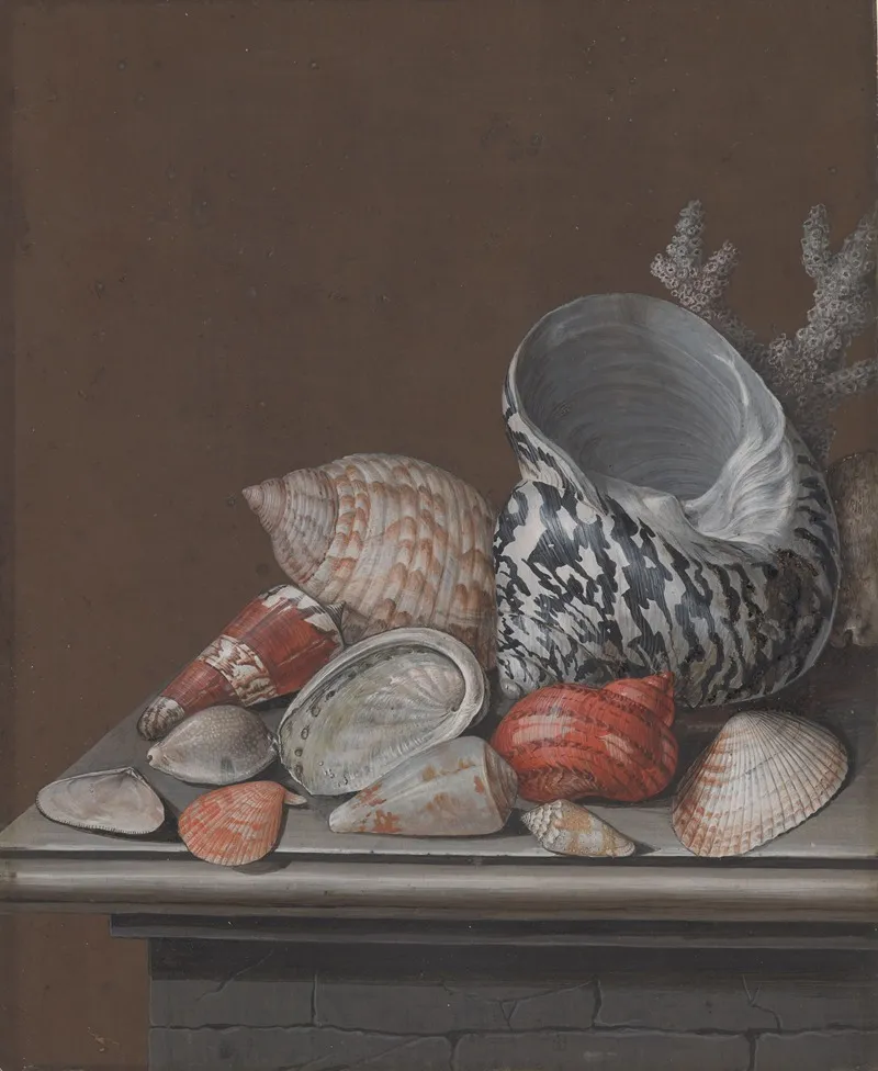 Still Life With Shells 3 Wall Art by Johann Jacob Dietzsch - High-Resolution Digital Print