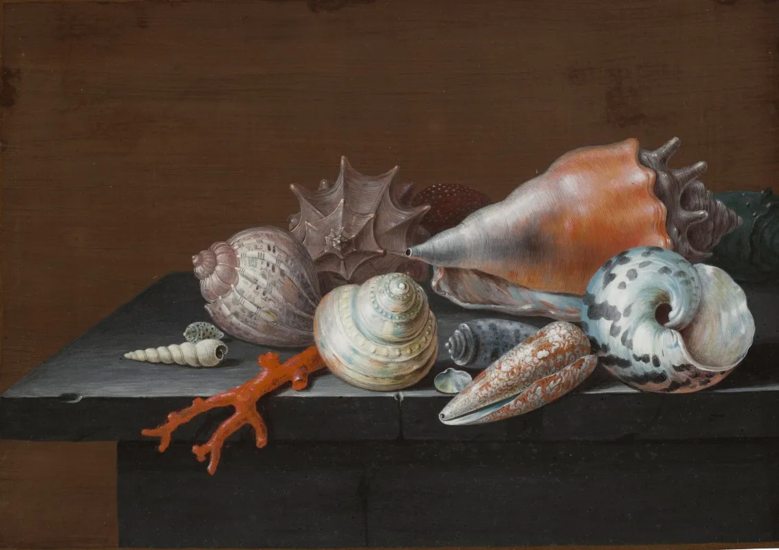 Still Life With Shells And Coral On A Table Wall Art by Johann Jakob Dietzsch - High-Resolution Digital Print