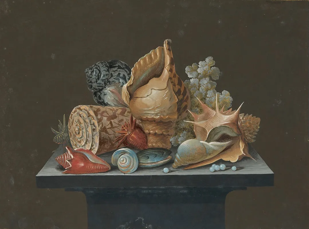 Still Life With Shells
