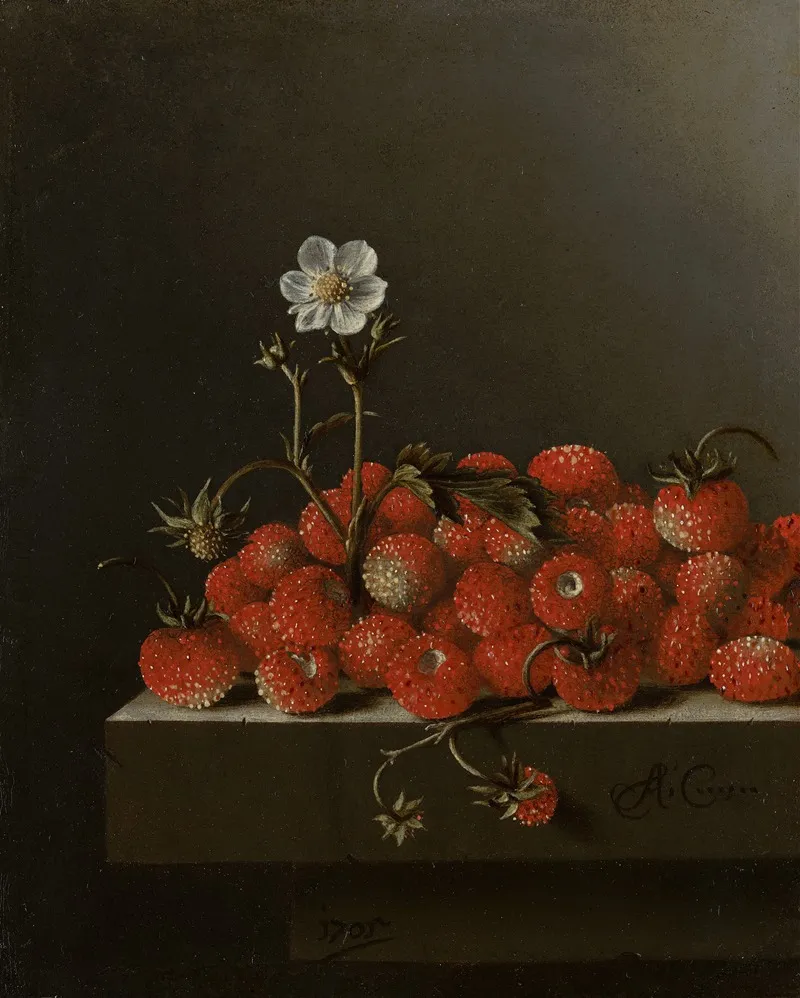 Still Life With Wild Strawberries Wall Art by Adriaen Coorte - High-Resolution Digital Print