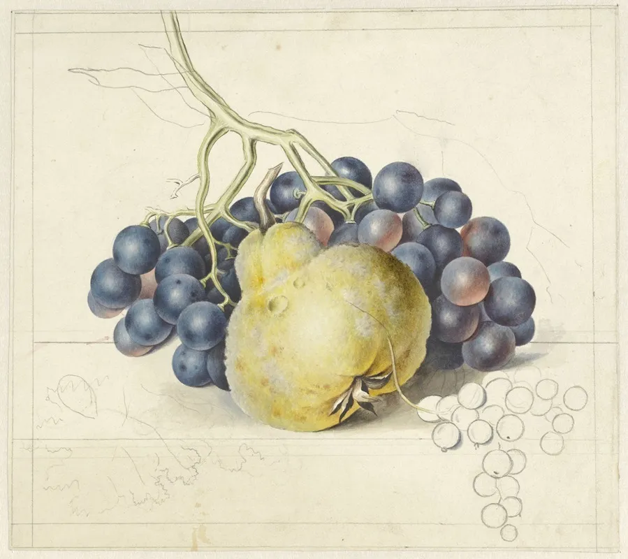 Stilleven Met Druiven En Een Peer Wall Art by Georgius Jacobus Johannes van Os - High-Resolution Digital Print