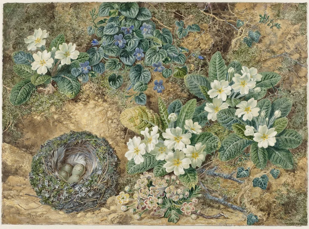 Stilleven Van Een Vogelnestje Viooltjes Primulas En Appelbloesem Wall Art by Thomas Frederick Collier - High-Resolution Digital Print