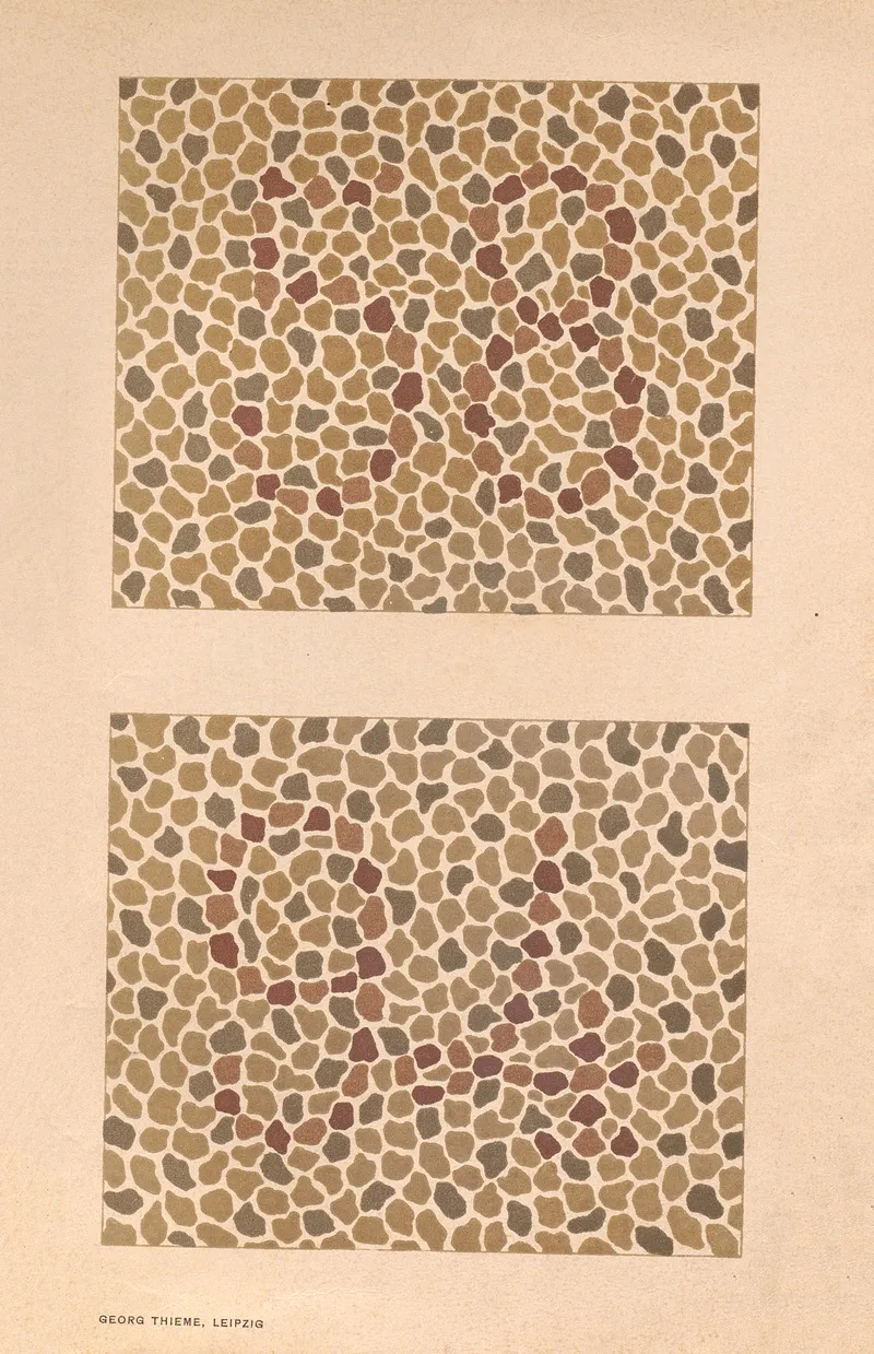 Stillings Pseudo Isochromatic Plates For Testing Color Perception Pl 02 Wall Art by Jakob Stilling - High-Resolution Digital Print