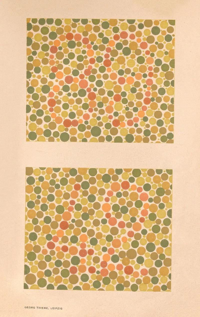 Stillings Pseudo Isochromatic Plates For Testing Color Perception Pl 07 Wall Art by Jakob Stilling - High-Resolution Digital Print