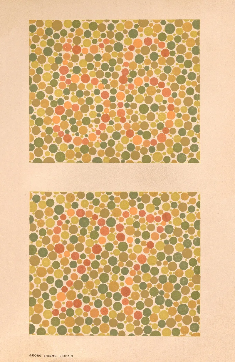 Stillings Pseudo Isochromatic Plates For Testing Color Perception Pl 08 Wall Art by Jakob Stilling - High-Resolution Digital Print