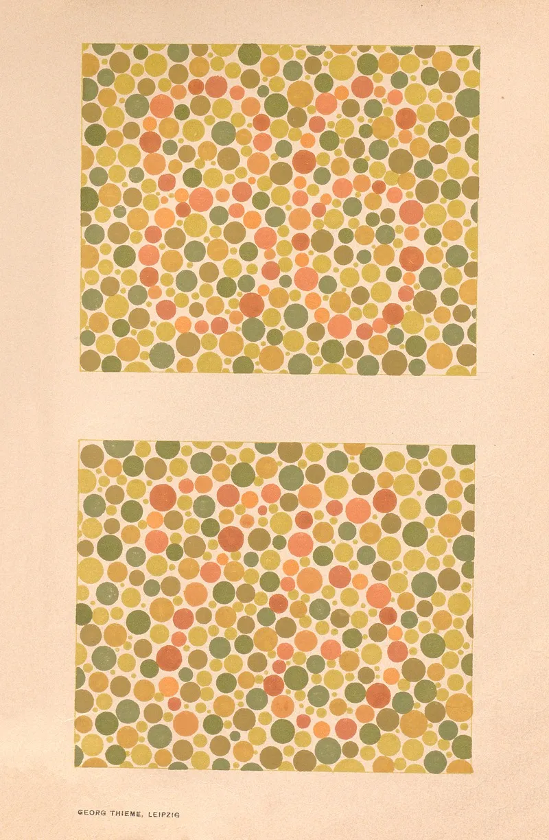 Stillings Pseudo Isochromatic Plates For Testing Color Perception Pl 09 Wall Art by Jakob Stilling - High-Resolution Digital Print