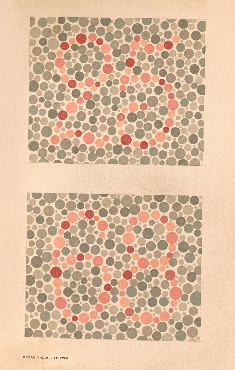 Stillings Pseudo Isochromatic Plates For Testing Color Perception Pl 10 Wall Art by Jakob Stilling - High-Resolution Digital Print