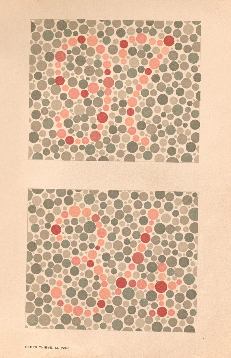 Stillings Pseudo Isochromatic Plates For Testing Color Perception Pl 11 Wall Art by Jakob Stilling - High-Resolution Digital Print
