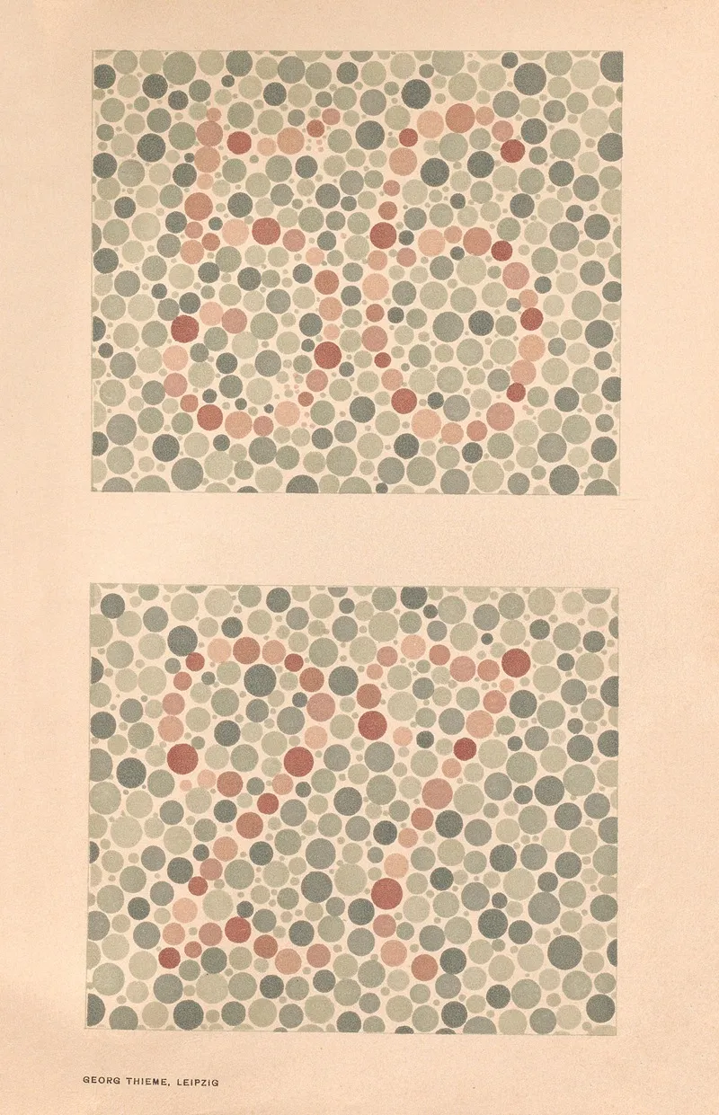 Stillings Pseudo Isochromatic Plates For Testing Color Perception Pl 12 Wall Art by Jakob Stilling - High-Resolution Digital Print