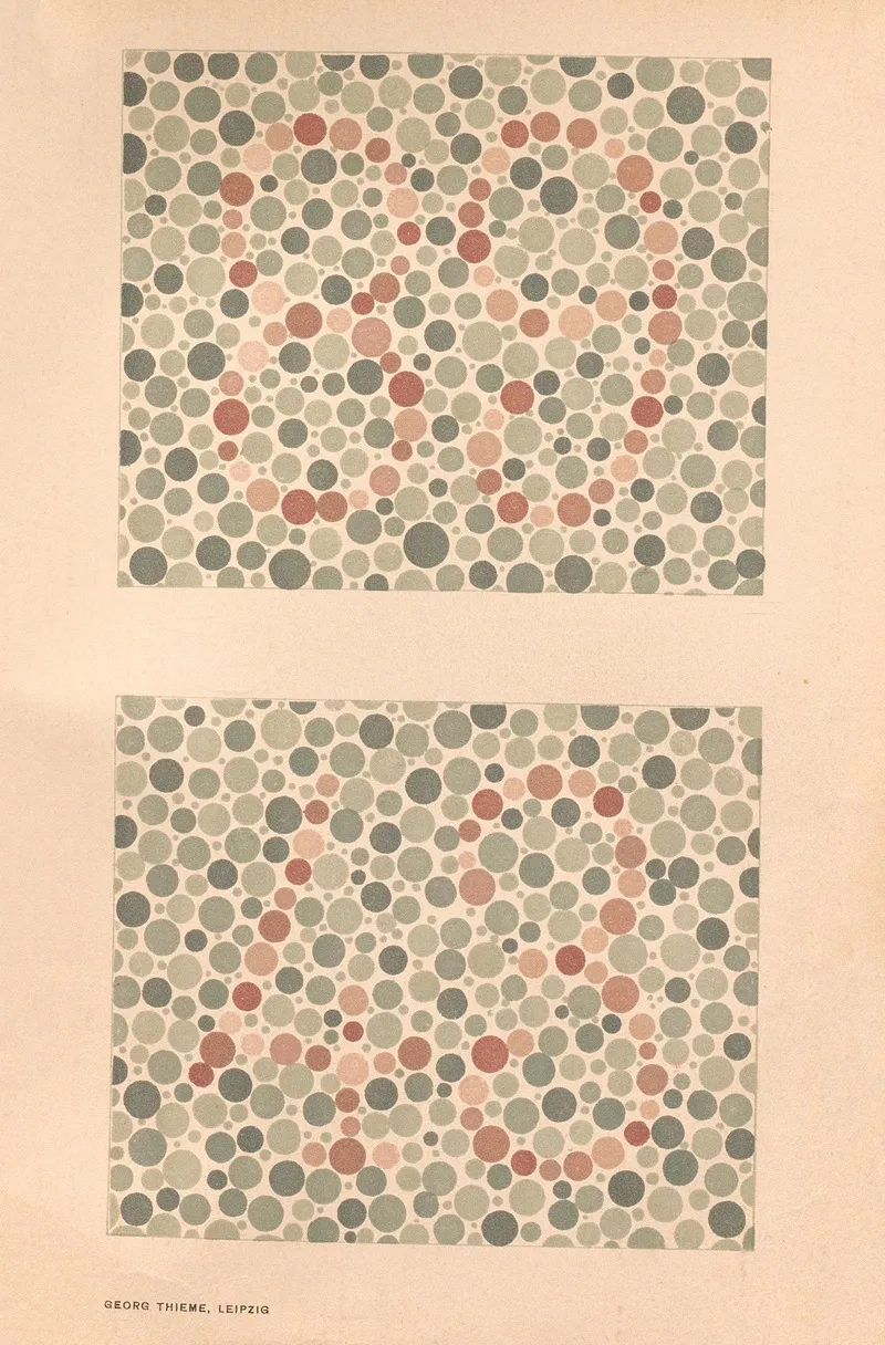 Stillings Pseudo Isochromatic Plates For Testing Color Perception Pl 13 Wall Art by Jakob Stilling - High-Resolution Digital Print