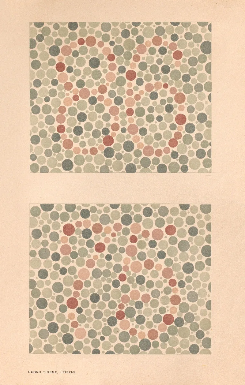 Stillings Pseudo Isochromatic Plates For Testing Color Perception Pl 14 Wall Art by Jakob Stilling - High-Resolution Digital Print