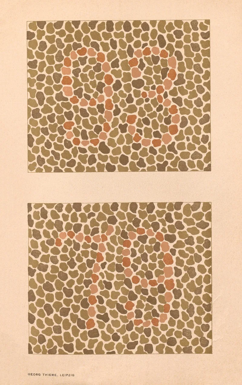 Stillings Pseudo Isochromatic Plates For Testing Color Perception Pl 17 Wall Art by Jakob Stilling - High-Resolution Digital Print