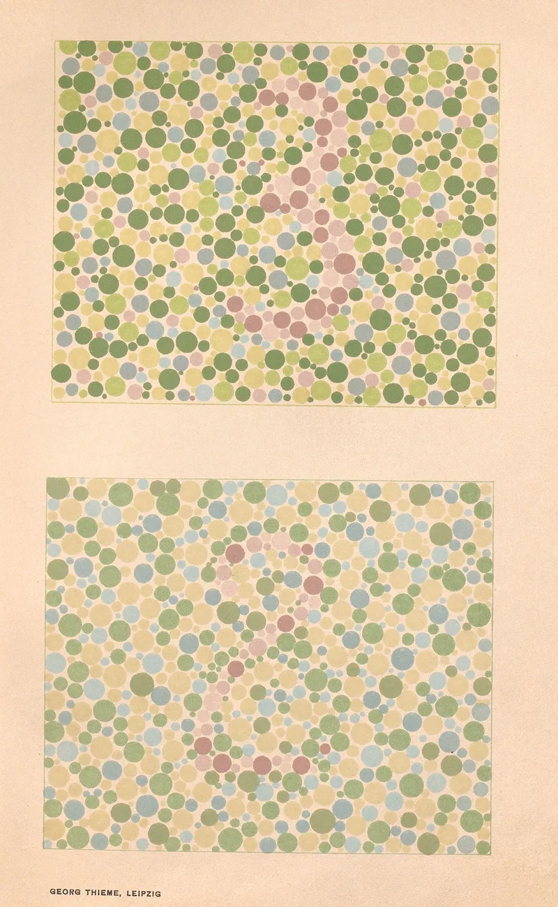 Stillings Pseudo Isochromatic Plates For Testing Color Perception Pl 21 Wall Art by Jakob Stilling - High-Resolution Digital Print