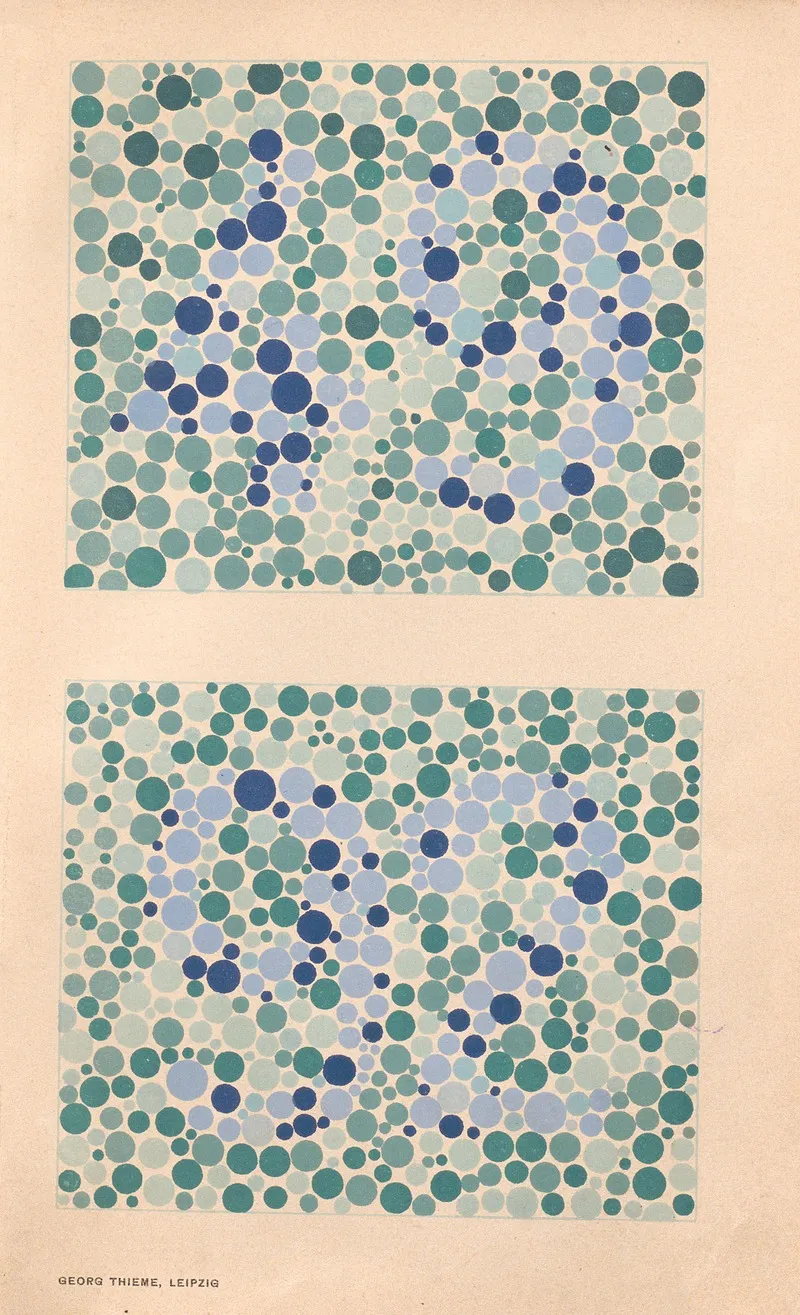 Stillings Pseudo Isochromatic Plates For Testing Color Perception Pl 24 Wall Art by Jakob Stilling - High-Resolution Digital Print