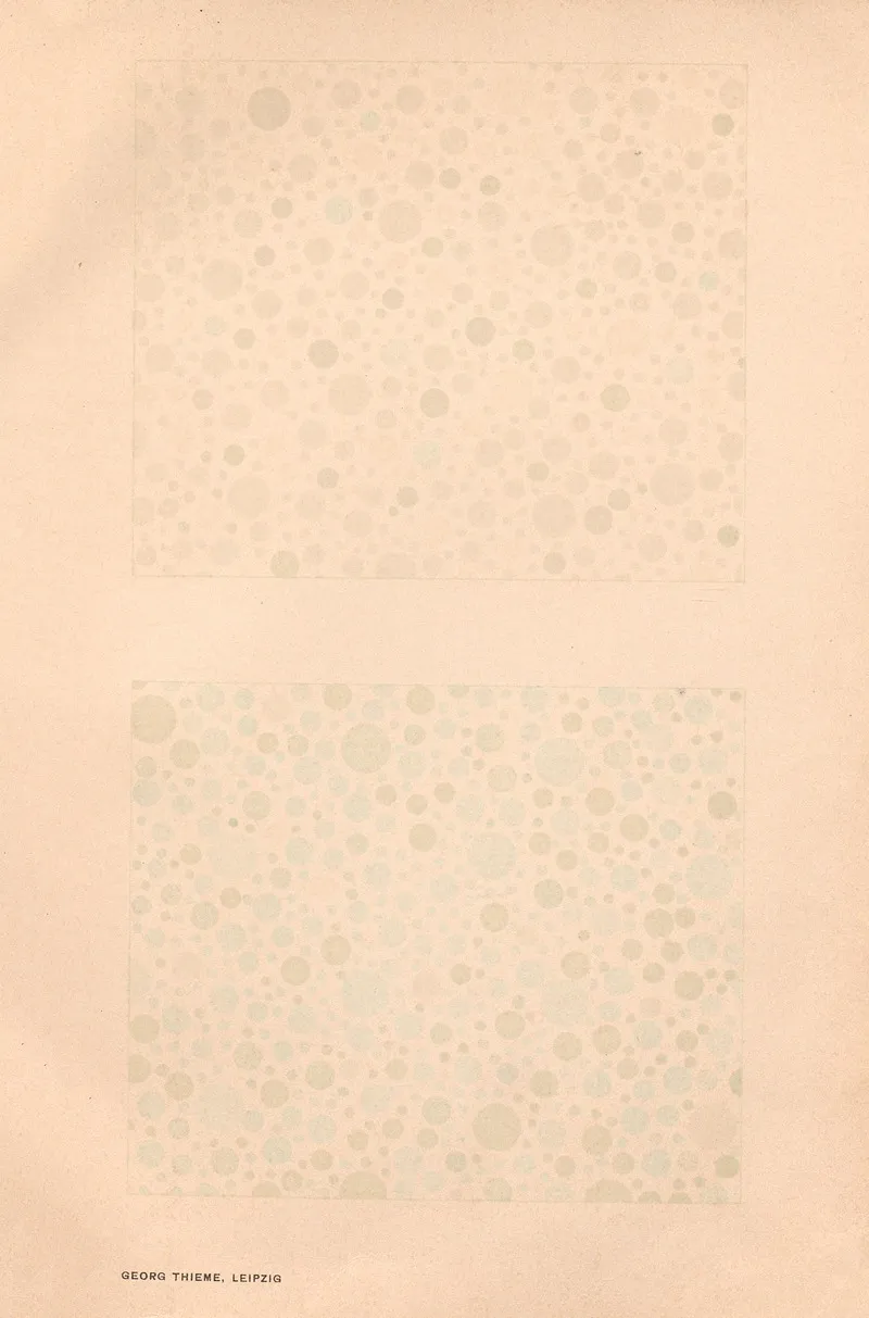 Stillings Pseudo Isochromatic Plates For Testing Color Perception Pl 26 Wall Art by Jakob Stilling - High-Resolution Digital Print