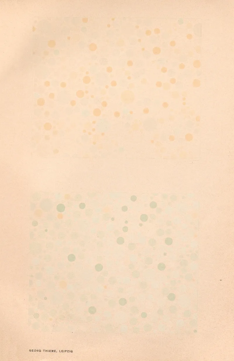 Stillings Pseudo Isochromatic Plates For Testing Color Perception Pl 27 Wall Art by Jakob Stilling - High-Resolution Digital Print