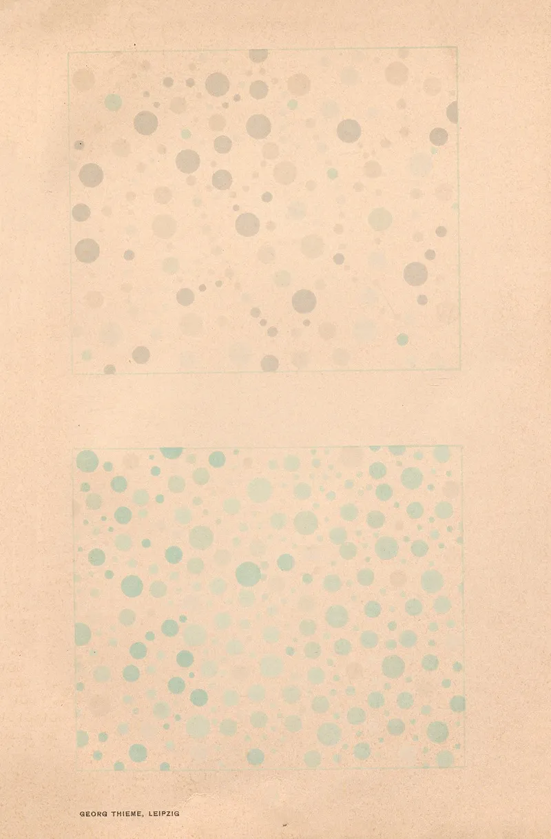 Stillings Pseudo Isochromatic Plates For Testing Color Perception Pl 28 Wall Art by Jakob Stilling - High-Resolution Digital Print