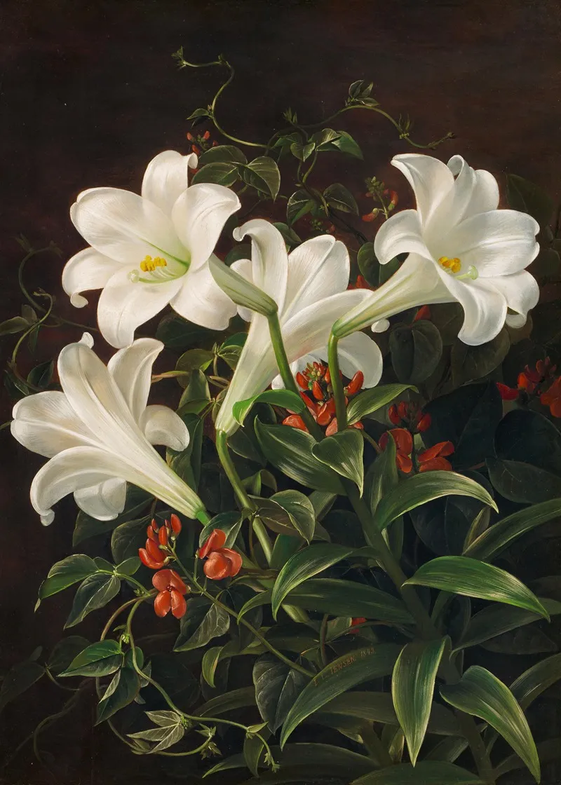 Stillleben Mit Weisen Lilien Und Bluhenden Lubera Ranken Wall Art by Johan Laurentz Jensen - High-Resolution Digital Print