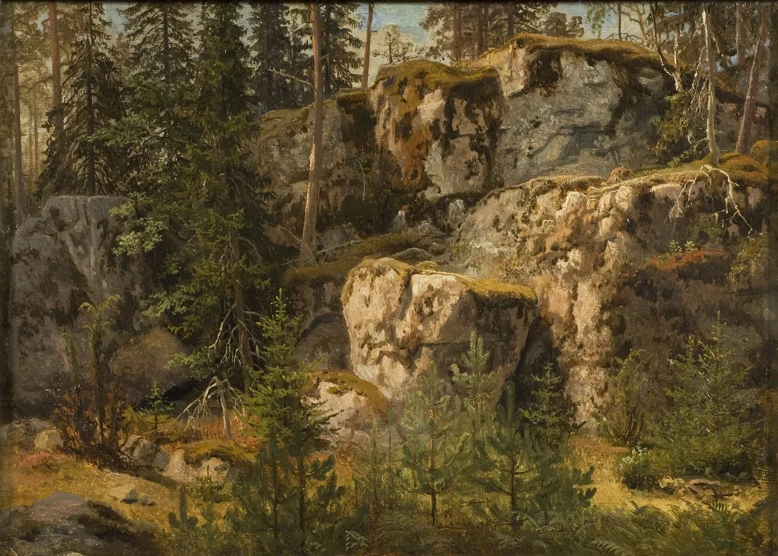 Stony Forest