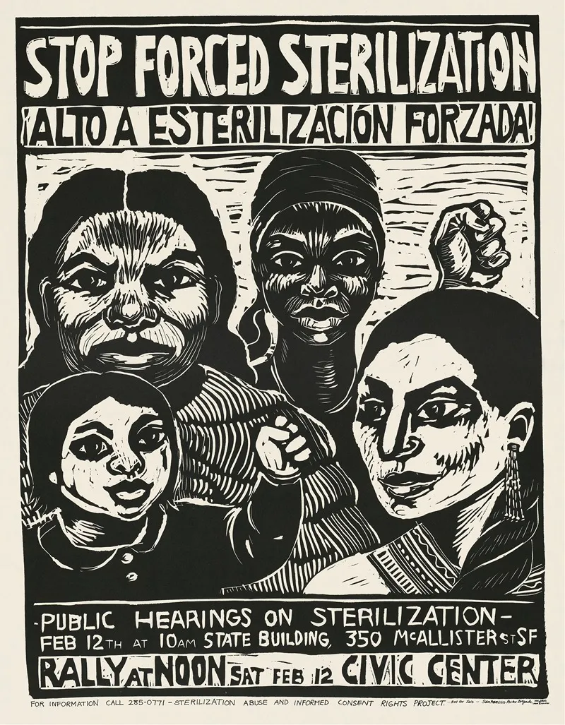 Stop Forced Sterilization Wall Art by Rachael Romero - High-Resolution Digital Print