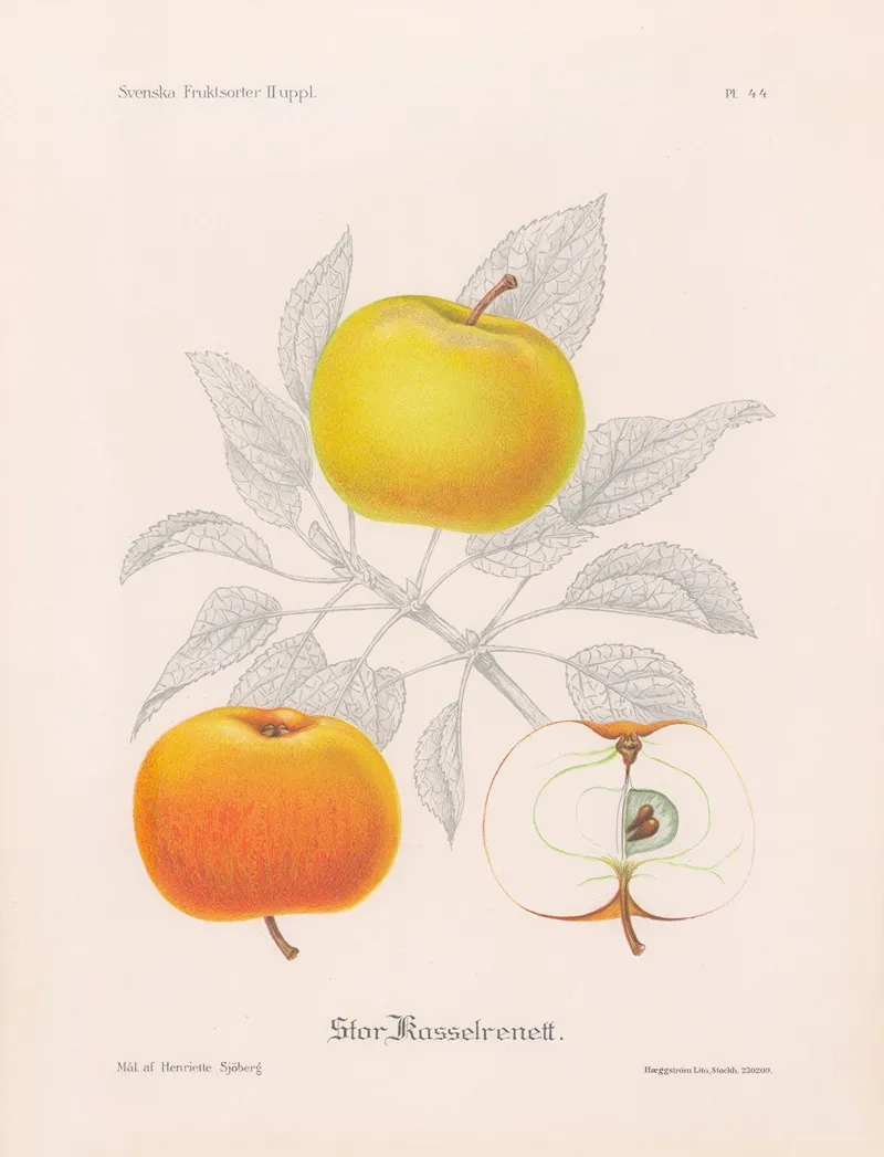 Stor Kasselrenett Wall Art by Henriette Sjöberg - High-Resolution Digital Print