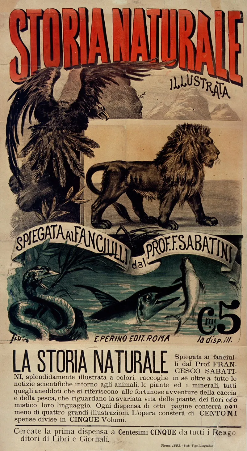 Storia Naturale Illustrata Wall Art by Ottavio Rodella Tavio - High-Resolution Digital Print