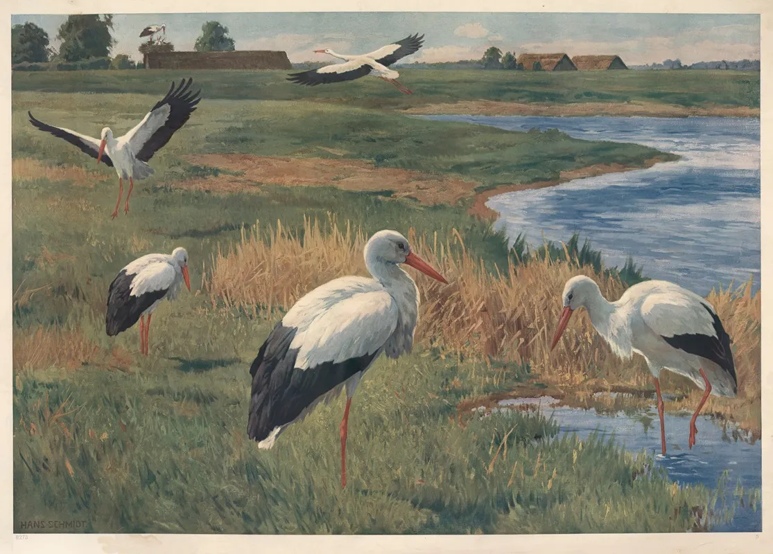 Stork 6 Wall Art by Hans Schmidt - High-Resolution Digital Print