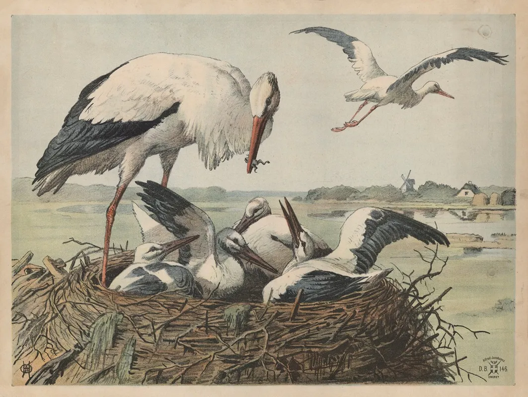 Stork 7