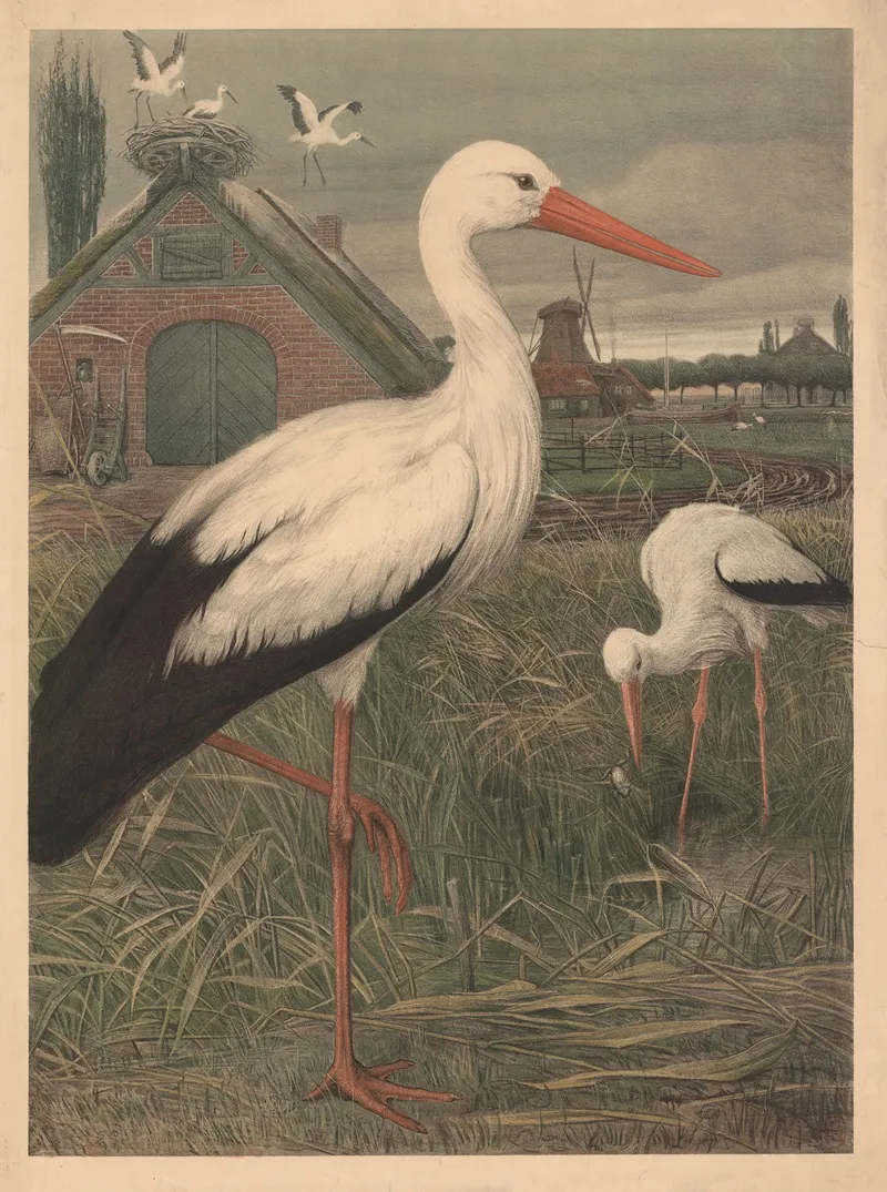 Stork 9 Wall Art by Emil Schmidt - High-Resolution Digital Print