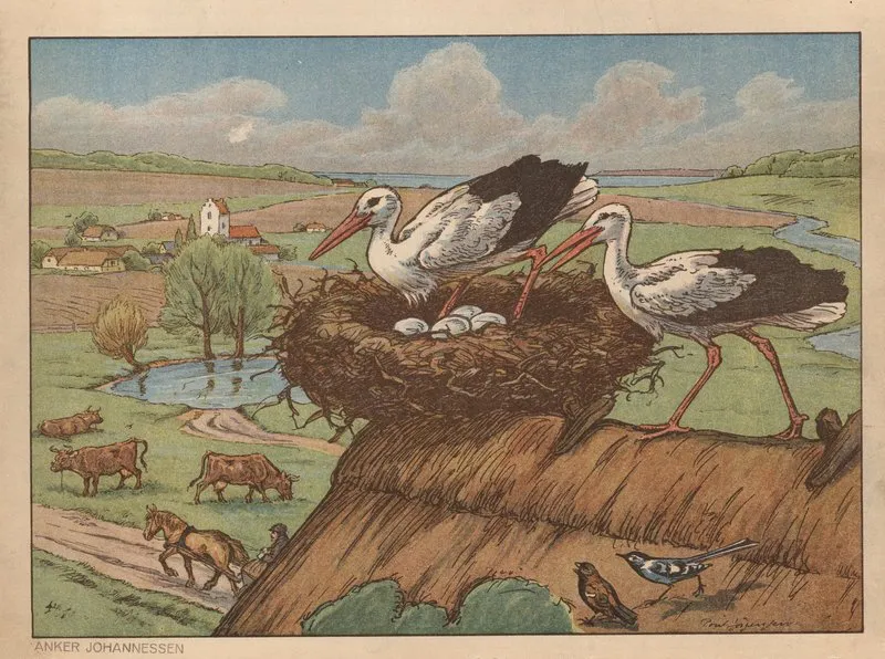 Stork Stork Langeben Aeg I Reden