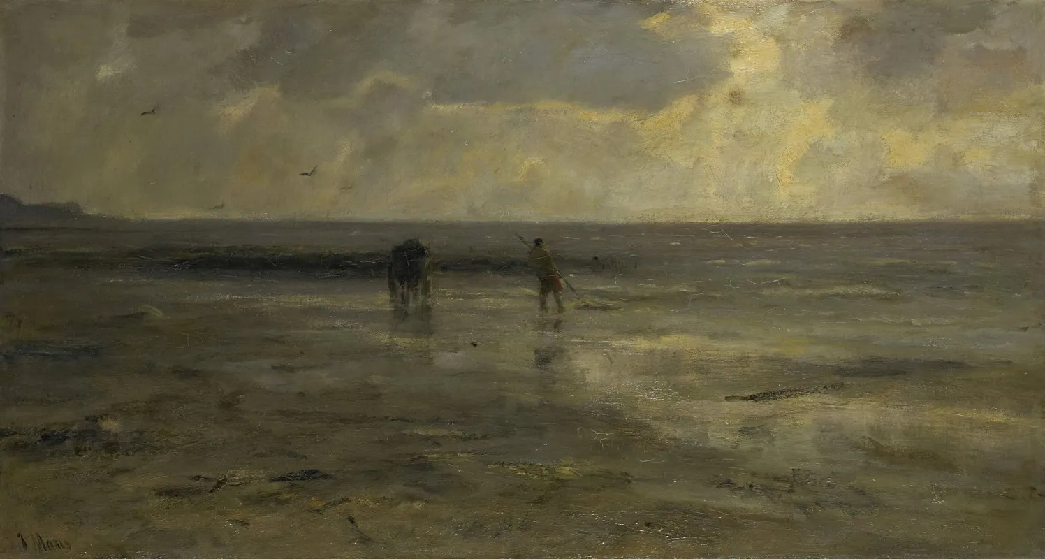 Strand Bij Avond