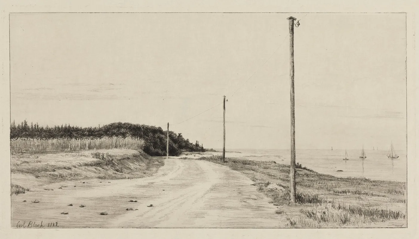 Strandvejen Ved Hornbaeksplantagen