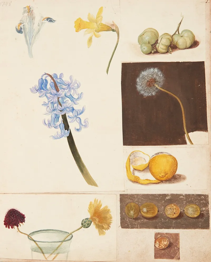 Studie Af Blomster Frugter Og Gronne Tomater Wall Art by Johanna Fosie - High-Resolution Digital Print