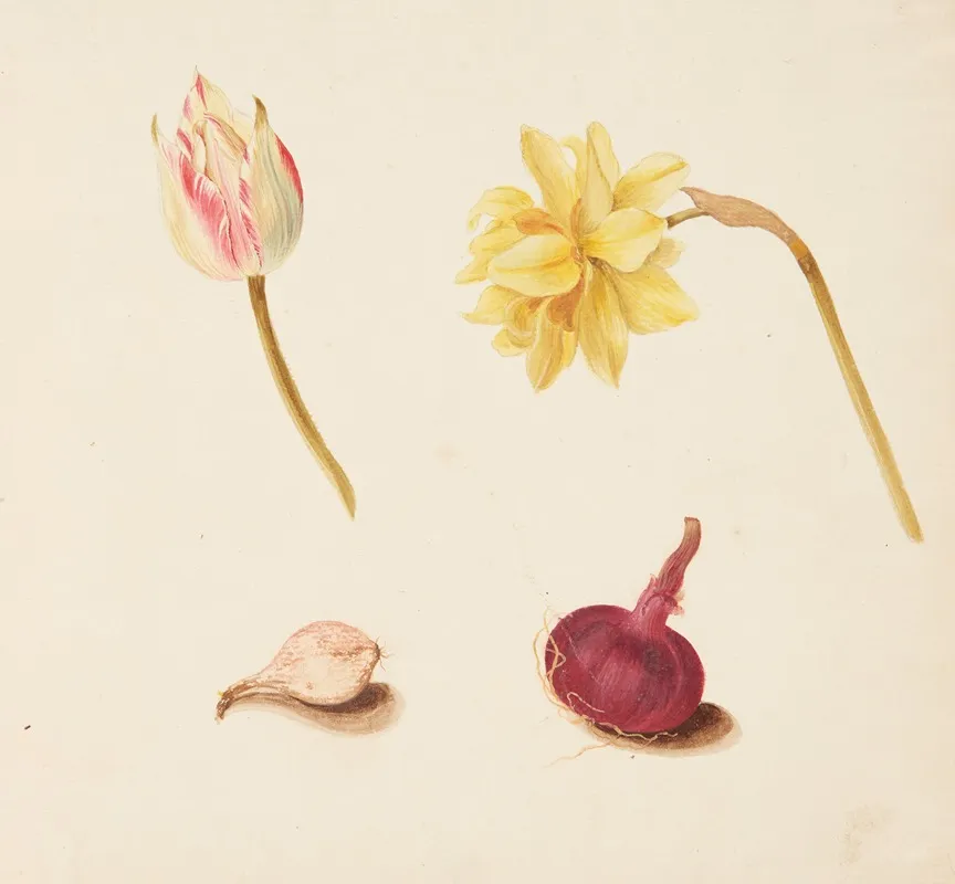 Studie Af Blomster Og Log Wall Art by Johanna Fosie - High-Resolution Digital Print
