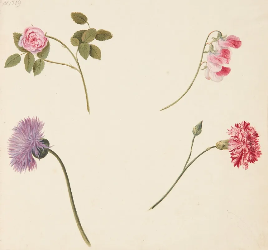 Studie Af Blomster Wall Art by Johanna Fosie - High-Resolution Digital Print