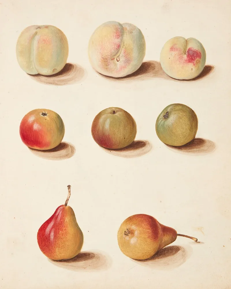 Studie Af Fersken Aeble Og Paere Wall Art by Johanna Fosie - High-Resolution Digital Print