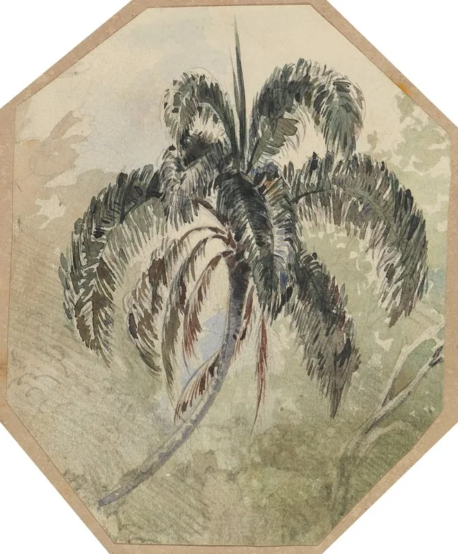 Studie Einer Palme In Urwald Wall Art by Ferdinand Keller - High-Resolution Digital Print