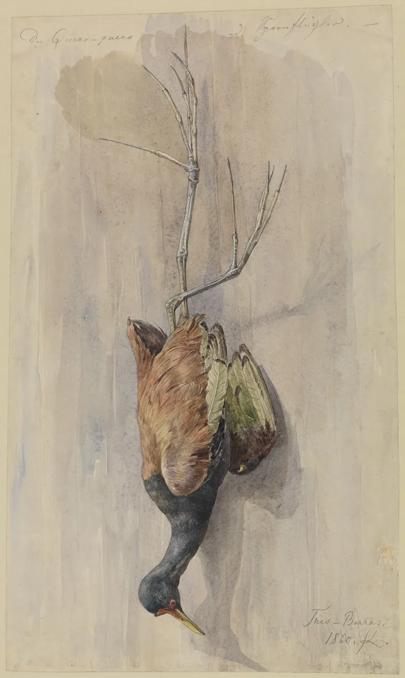 Studie Eines Toten Spornfluglers Wall Art by Ferdinand Keller - High-Resolution Digital Print