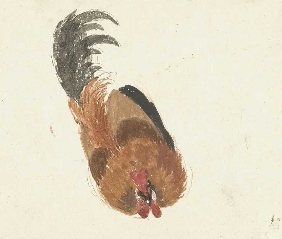 Studie Van Een Dode Haan Wall Art by Aert Schouman - High-Resolution Digital Print