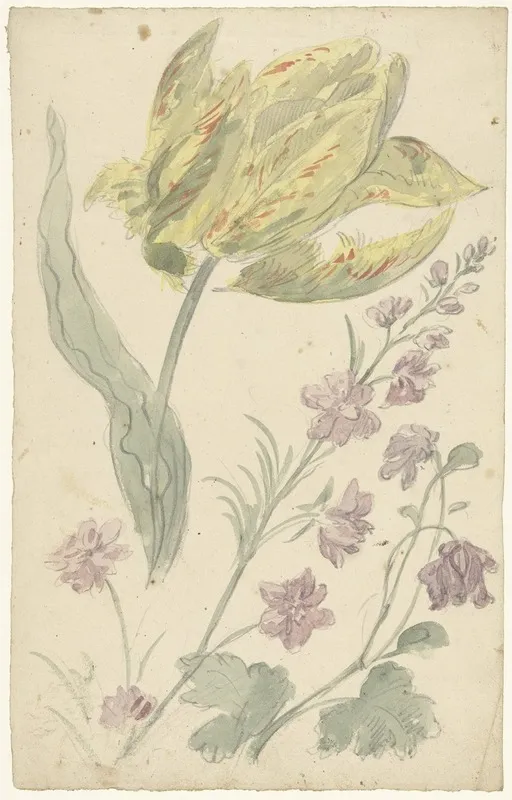 Studie Van Een Gele Tulp En Een Andere Plant