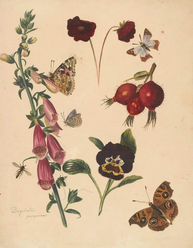 Studieblad Met Bloemen En Vlinders Wall Art by Albertus Steenbergen - High-Resolution Digital Print
